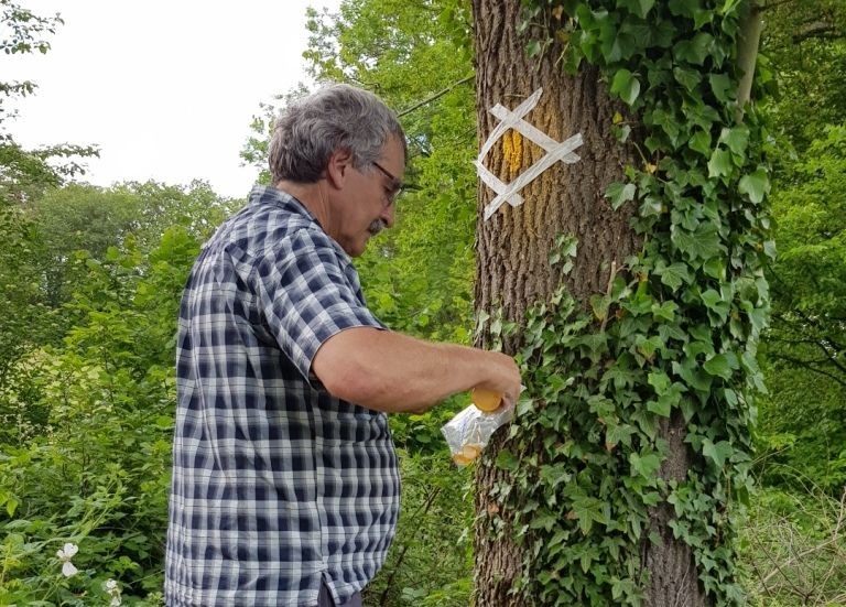 Auffrischen der Markierung bei Dittingen