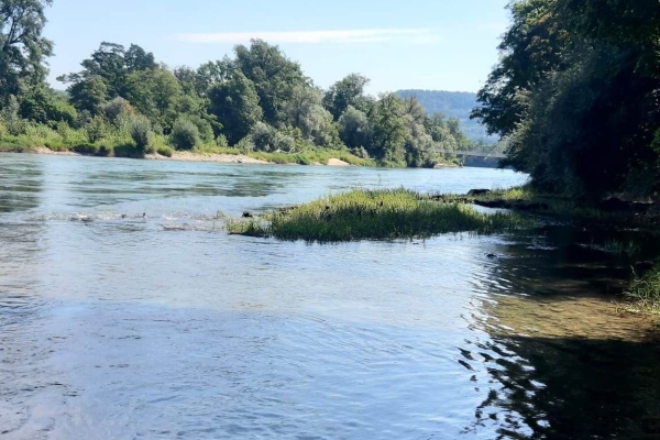 Brückenwanderung in Brugg