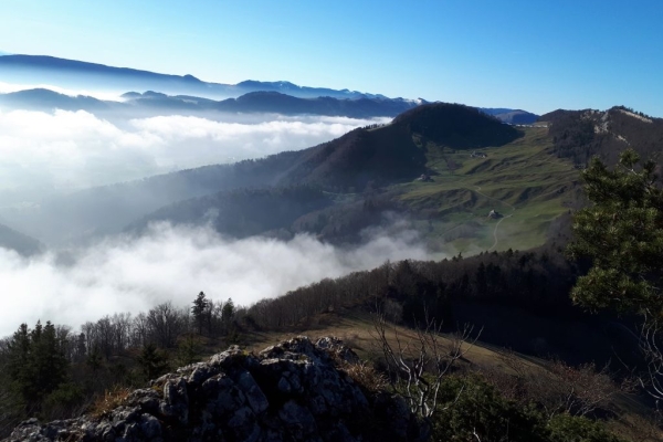 Wanderung ins Blaue 1