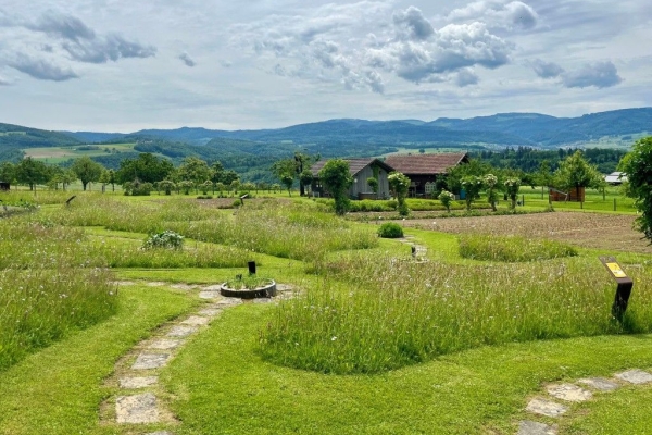 Bienenpfad und Ricola Kräutergarten (Familienwanderung)