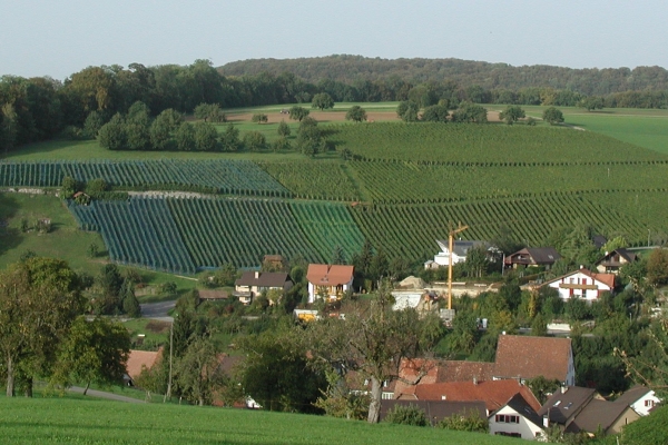 Rebenweg Maisprach-Buus-Wintersingen