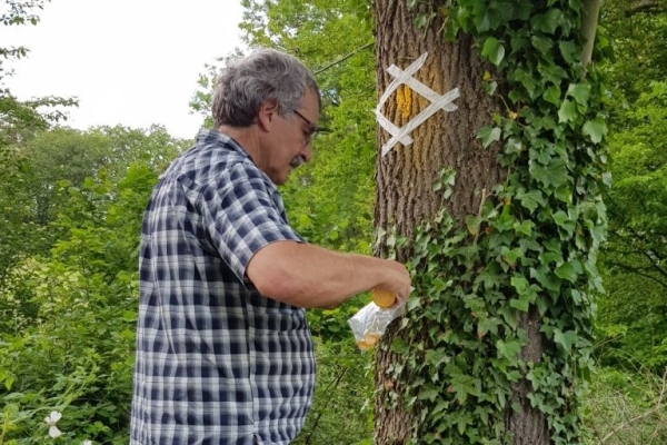 Auffrischen der Markierung bei Dittingen