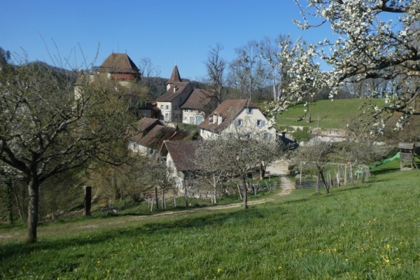 Schloss und Hofgut Wildenstein