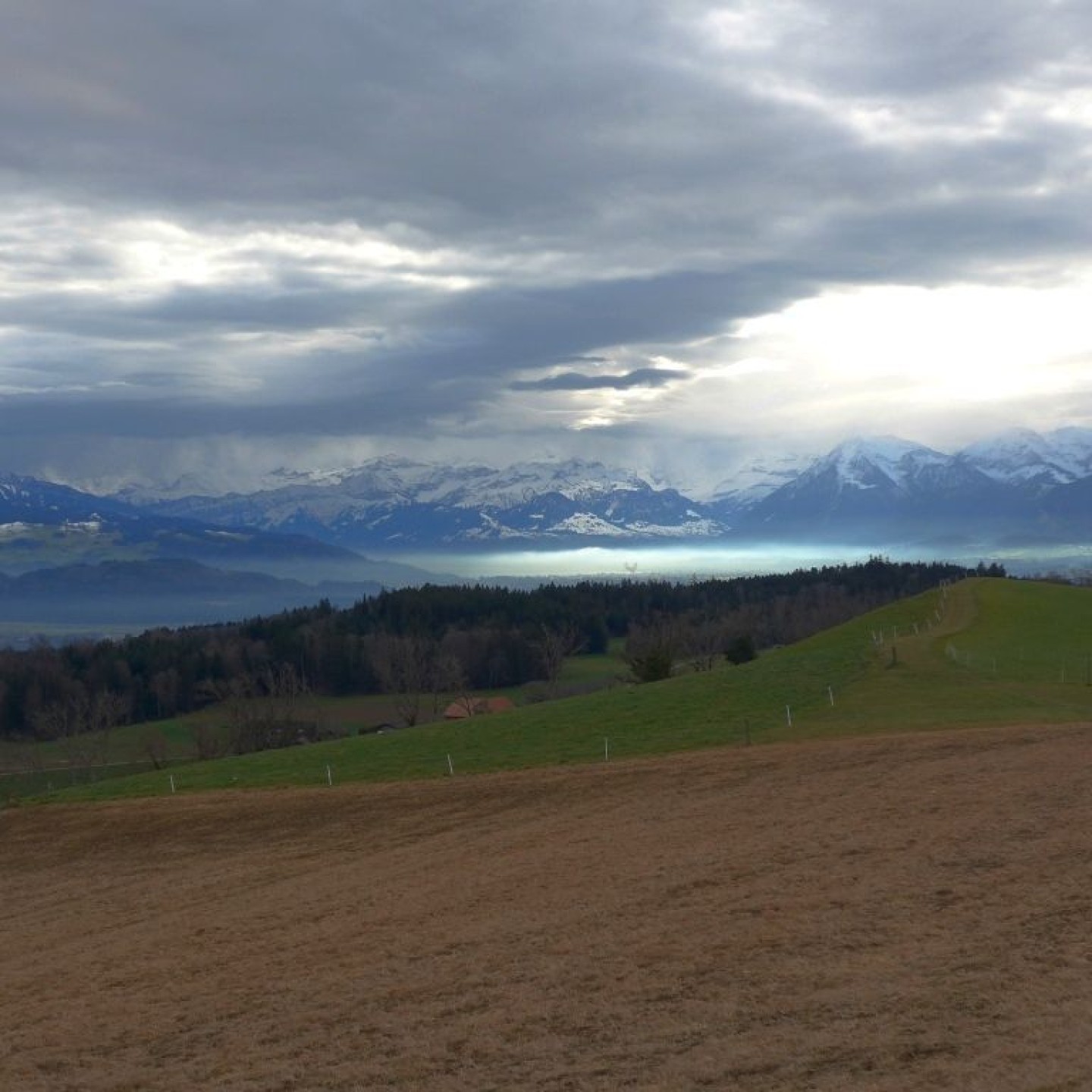 08_Nebel über dem Thunersee mit dem Niesen