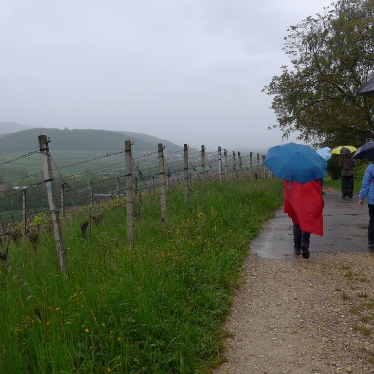 07_Nach dem feinen Essen kam der grosse Regen