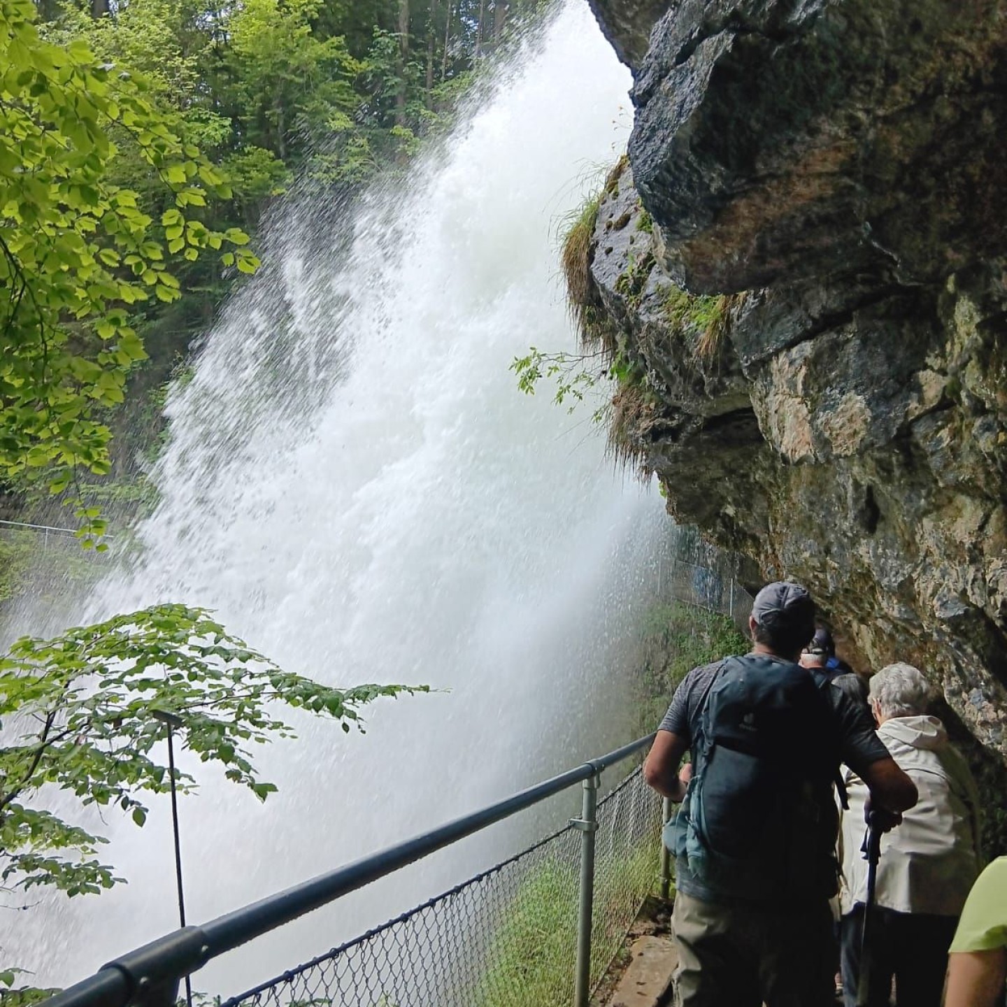 6 Die Gruppe wagt sich hinter den Giessbachfall