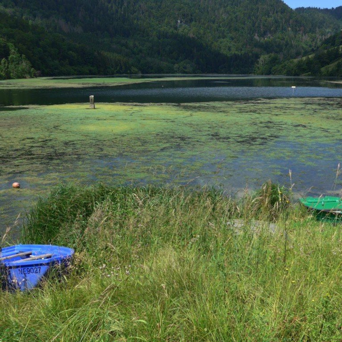 04_Der gestaute Doubs im Lac de Biaufond mit seinem historischen Grenzstein