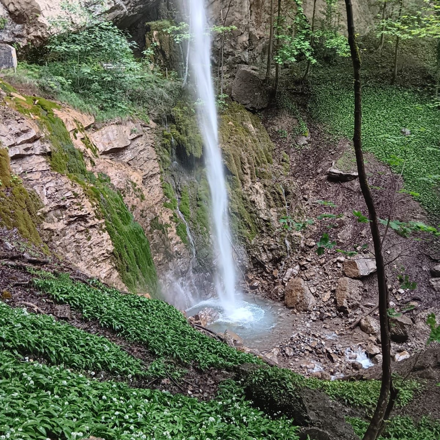 3 Im Aufstieg vorbei am Wasserfall Mülibach