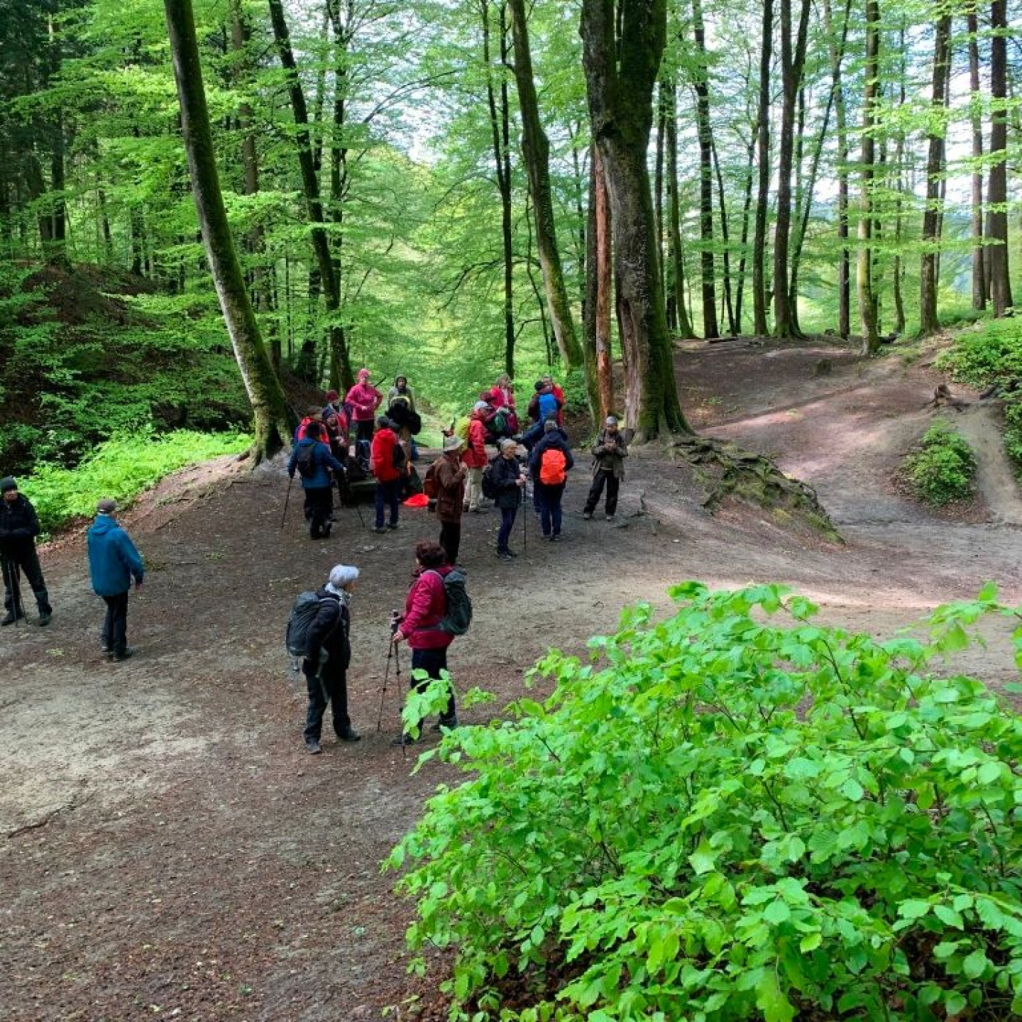 08_Picnic-Platz bei den Sandsteinhöhlen