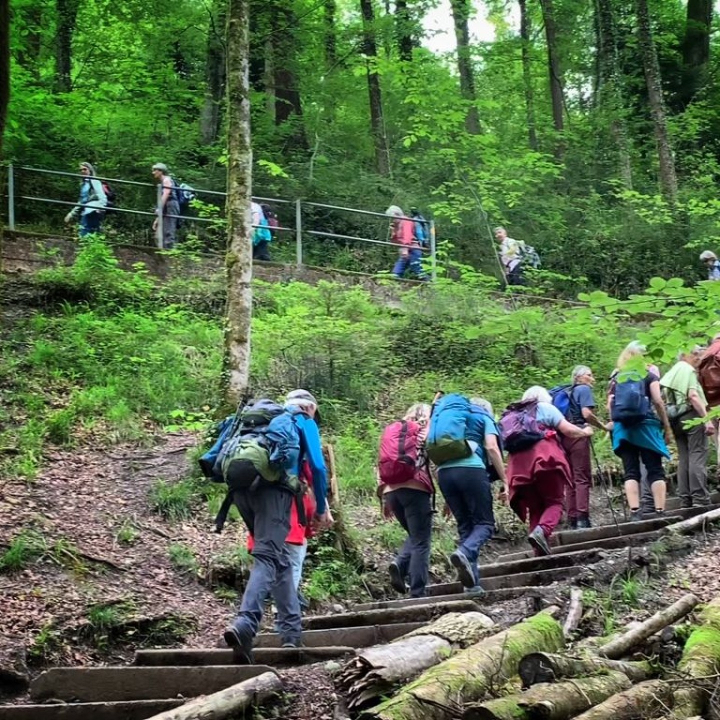 2 Auch im Zürcher Oberland gibt es steile Hügel