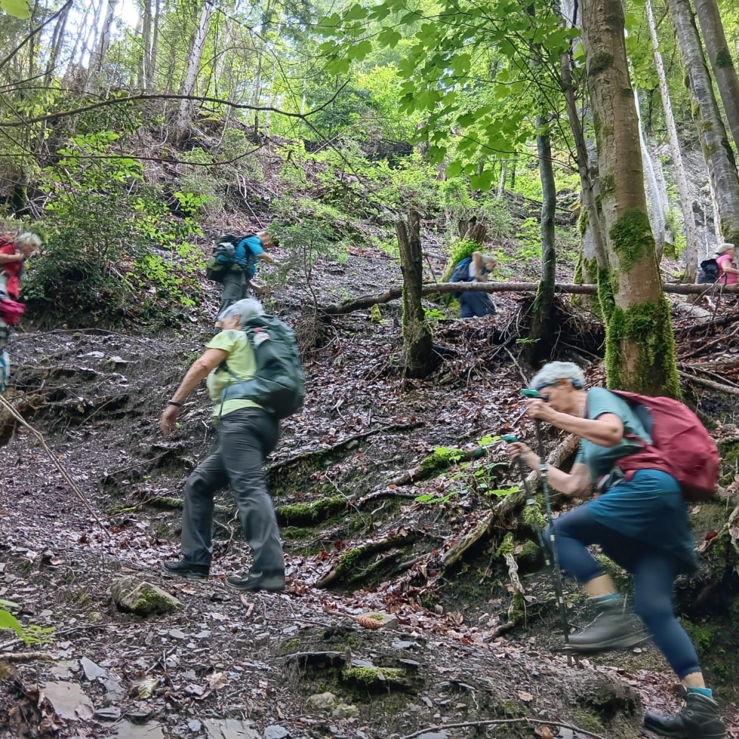 2 Im Aufstieg zum Mülibachfall