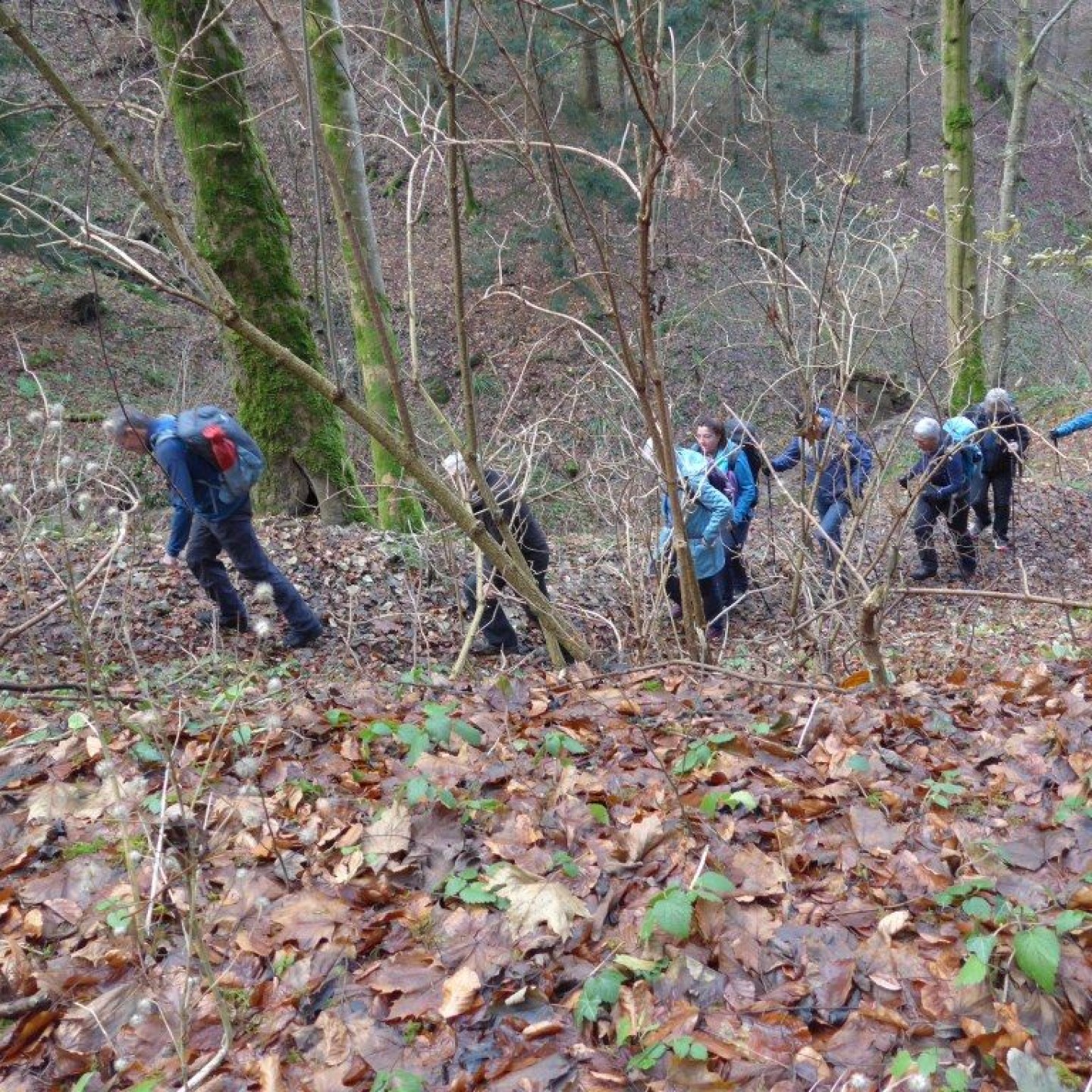 02_ Der Aufstieg auf den Belpberg war steil