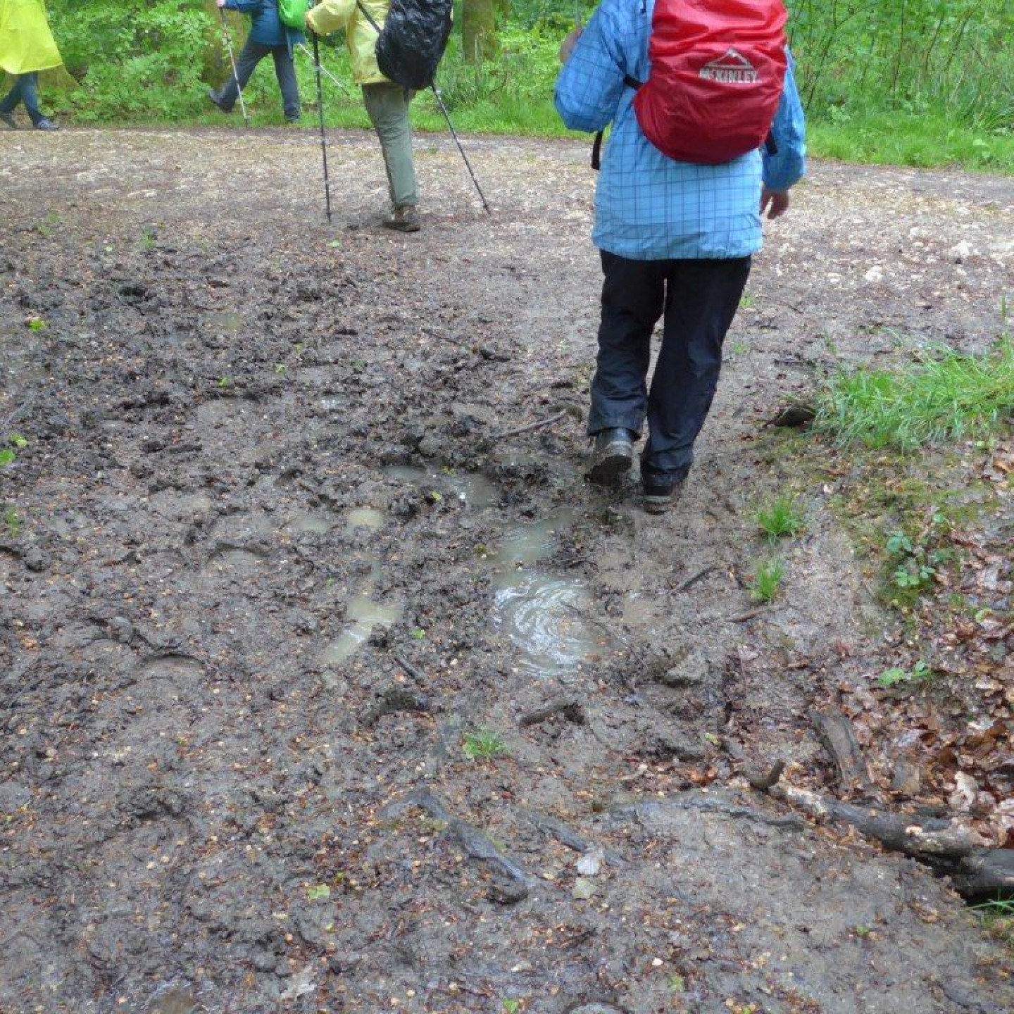 12_Sumpf und Matsch begleiteten uns auf einigen abenteuerlichen Pfaden