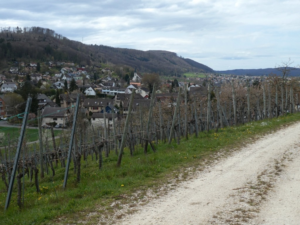 Vom Vorderberg blickt man über Ettingen und Witterswil zum Höhenzug des Witterswiler Bergs am Südrand des Rheintals