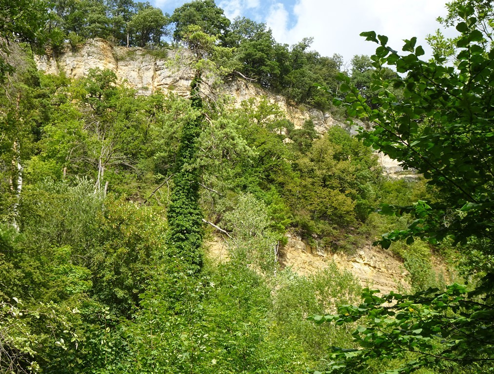 Eindrückliche Felsen der Roti Flue