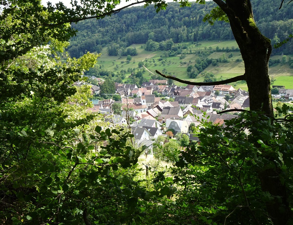 Blick aufs Dorf Rothenfluh