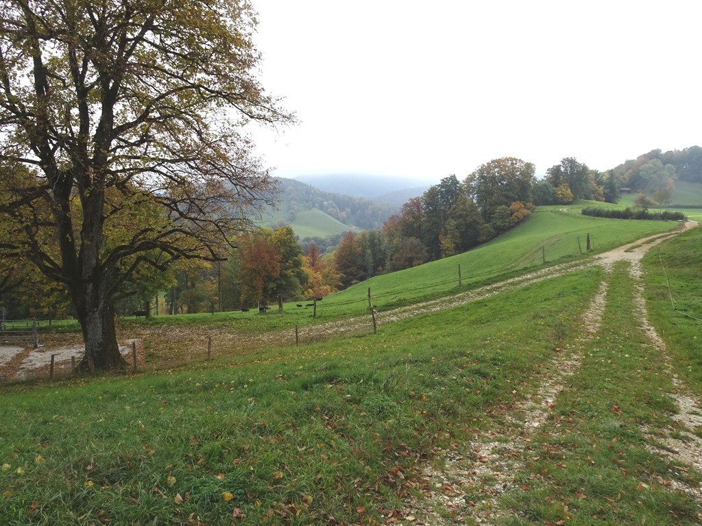 Herbststimmung auf dem Humbel