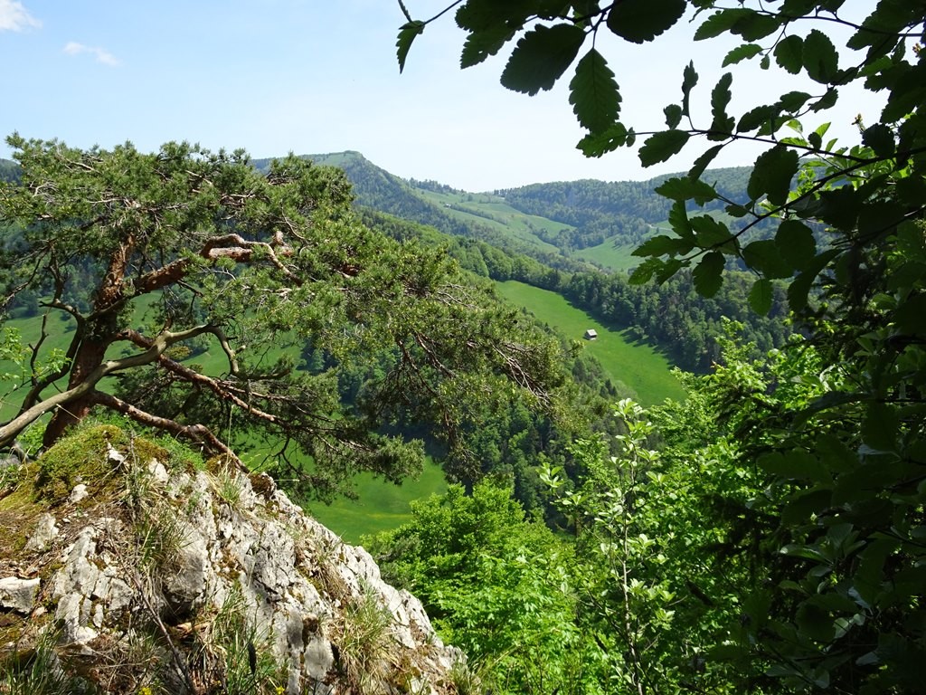 Auf dem Gratweg zum Hirnichopf