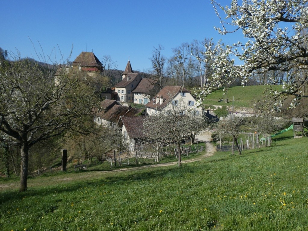 Schloss und Hofgut Wildenstein bilden ein prächtiges Ensemble