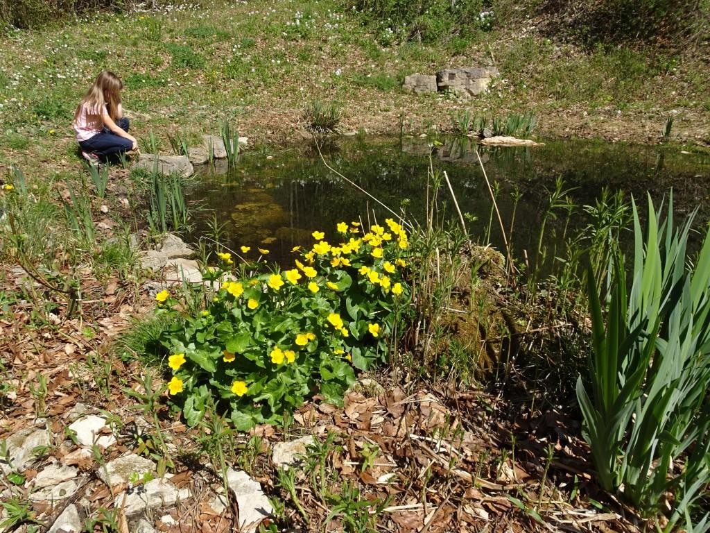 Weiher am Weg zum Tännligarten