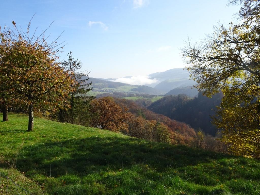 Aussicht von der Blauenweid