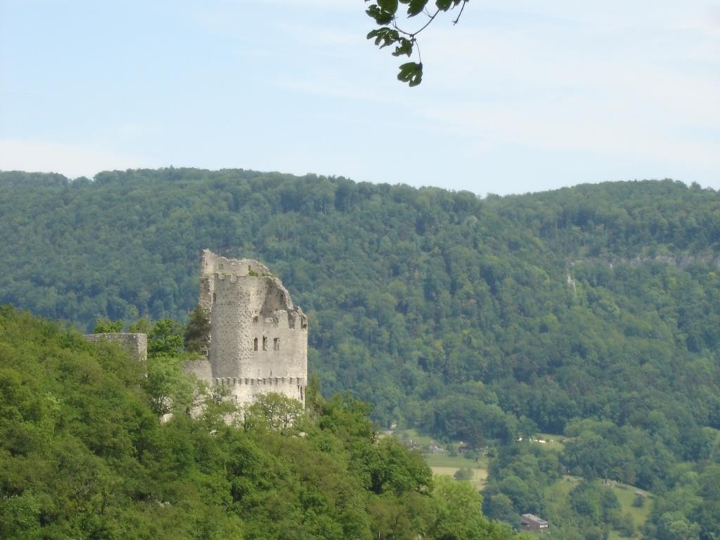 Ruine Pfeffingen