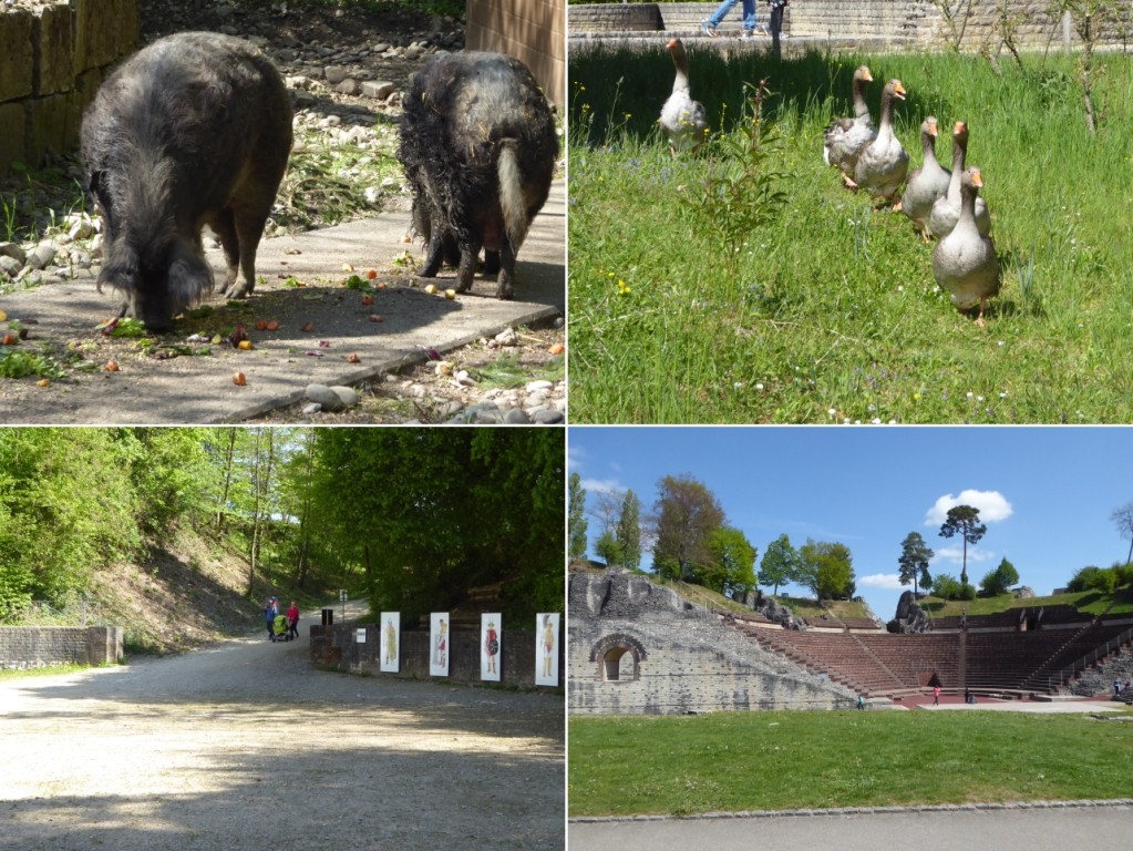 Haustierpark und eindrückliche Zeugen  der römischen Siedlung machen die Wanderung für Kinder attraktiv